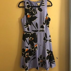 NWT! J Crew Factory floral A line dress (size 8)